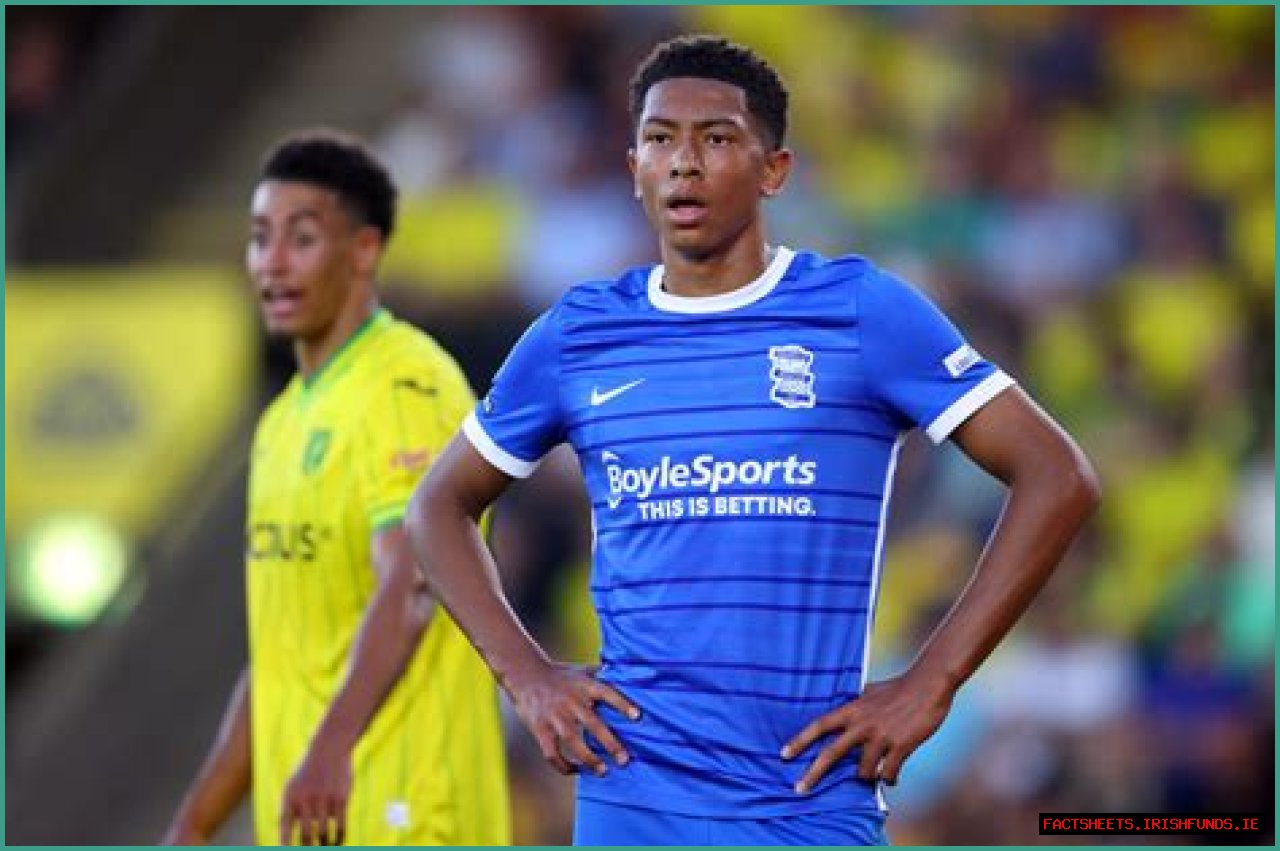 Unveiling The Bellingham Sister: A Journey Through Family Ties And Individual Paths