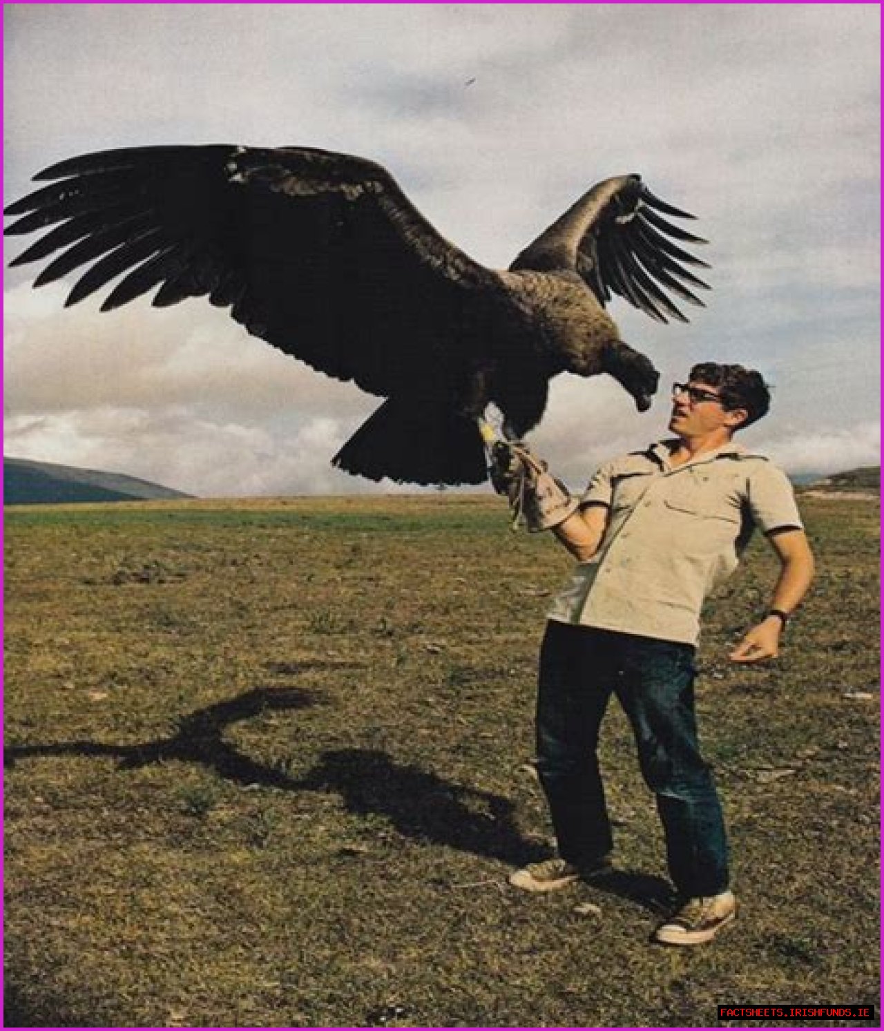 Unveiling The Enigma Of Anouk McGregor: Discoveries And Insights